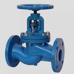 gobal-valve-1