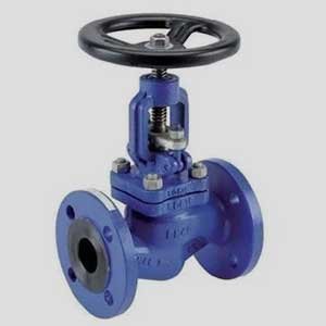 gobal-valve-2